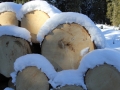 Schnee-Holz